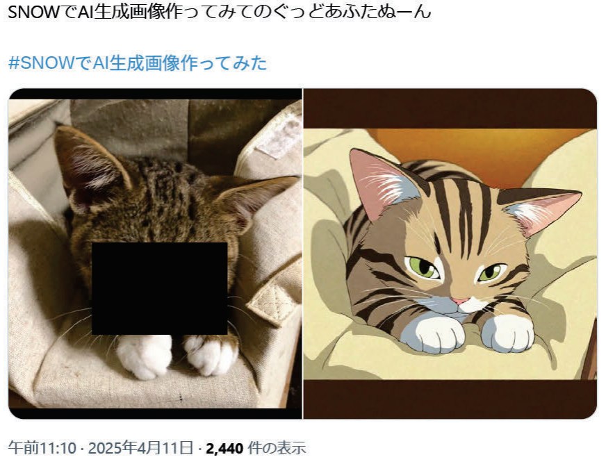 消費者庁の報道資料より