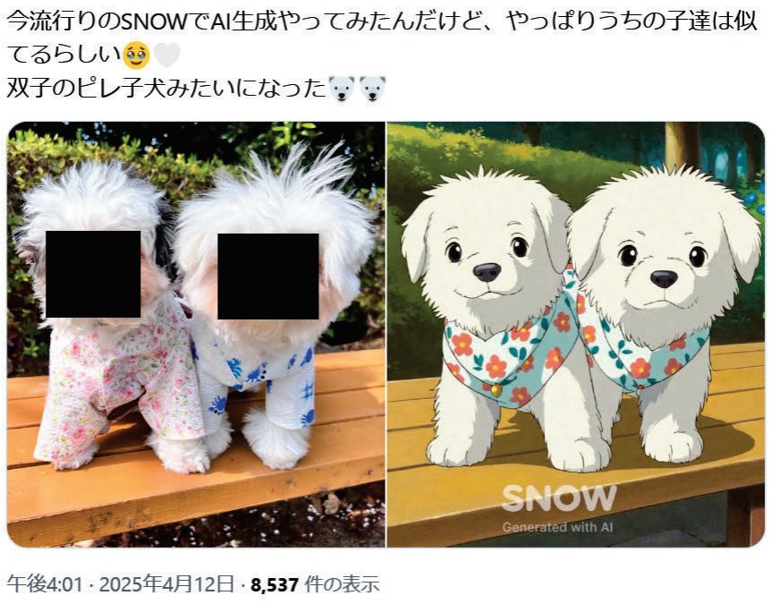 消費者庁の報道資料より