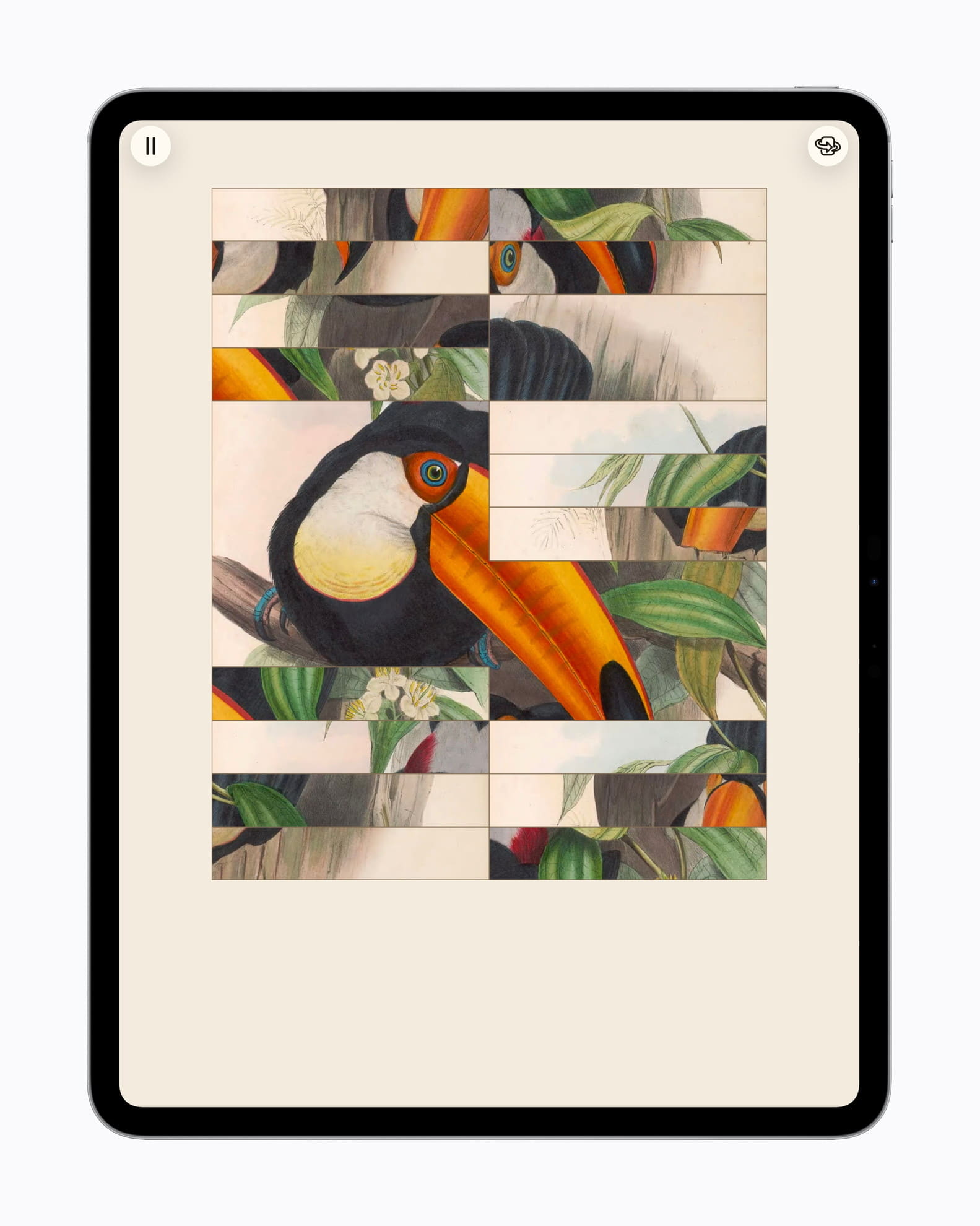Art of Fauna: Cozy Puzzles+