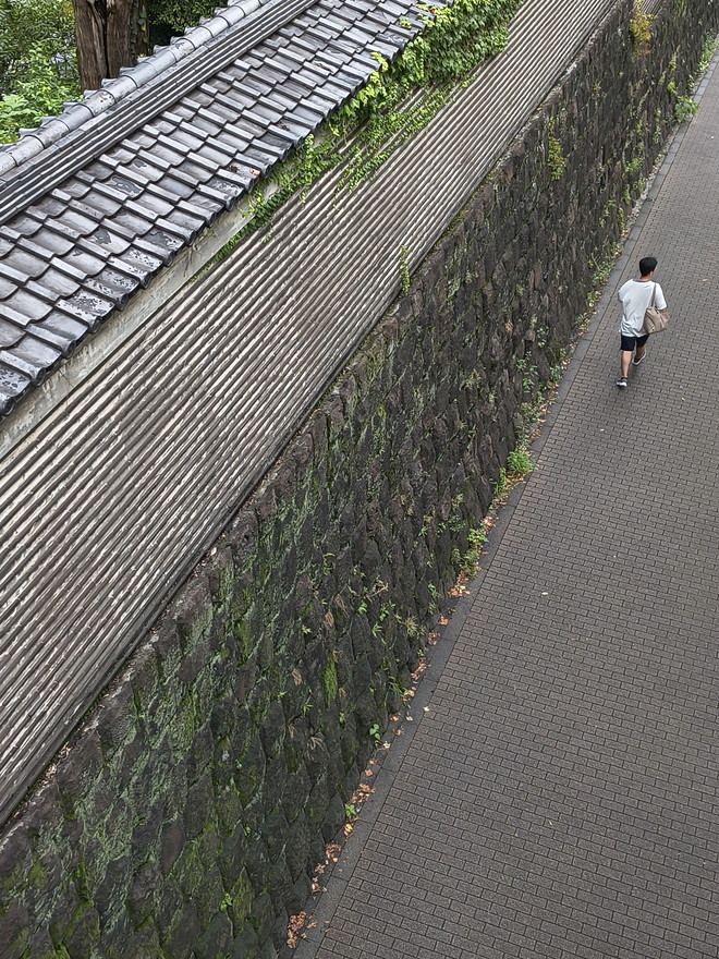 このスマートフォンがあると、街歩きが楽しくなる。さまざまな被写体を見つけて撮る醍醐味を感じられるはずだ