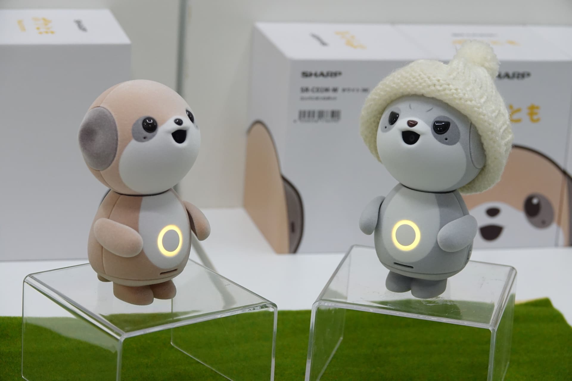 ポケともとの思い出を振り返られるスマートフォンアプリ