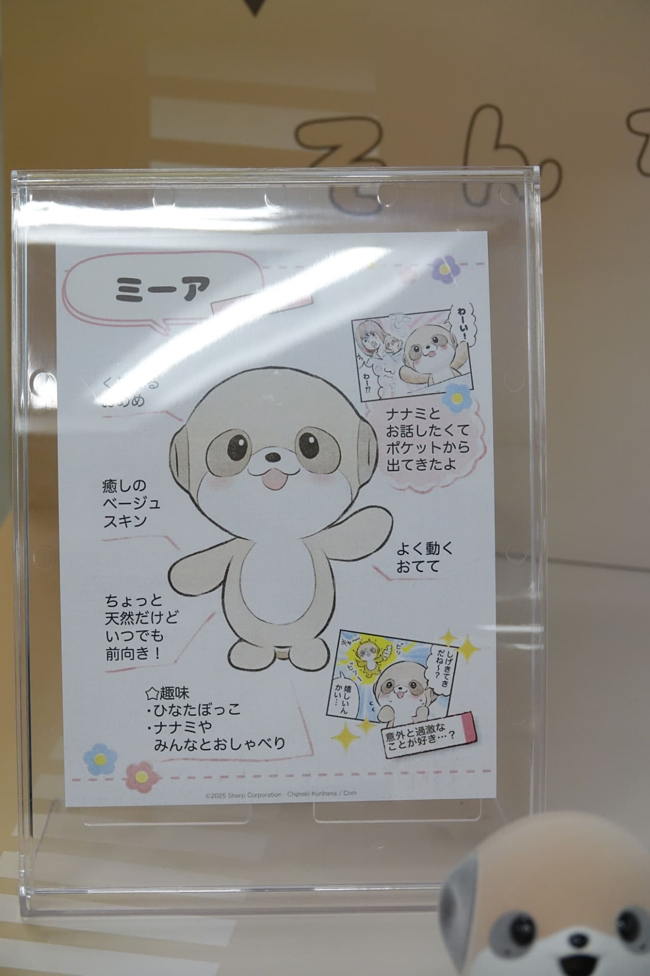 第一弾の「むじゃきタイプ」