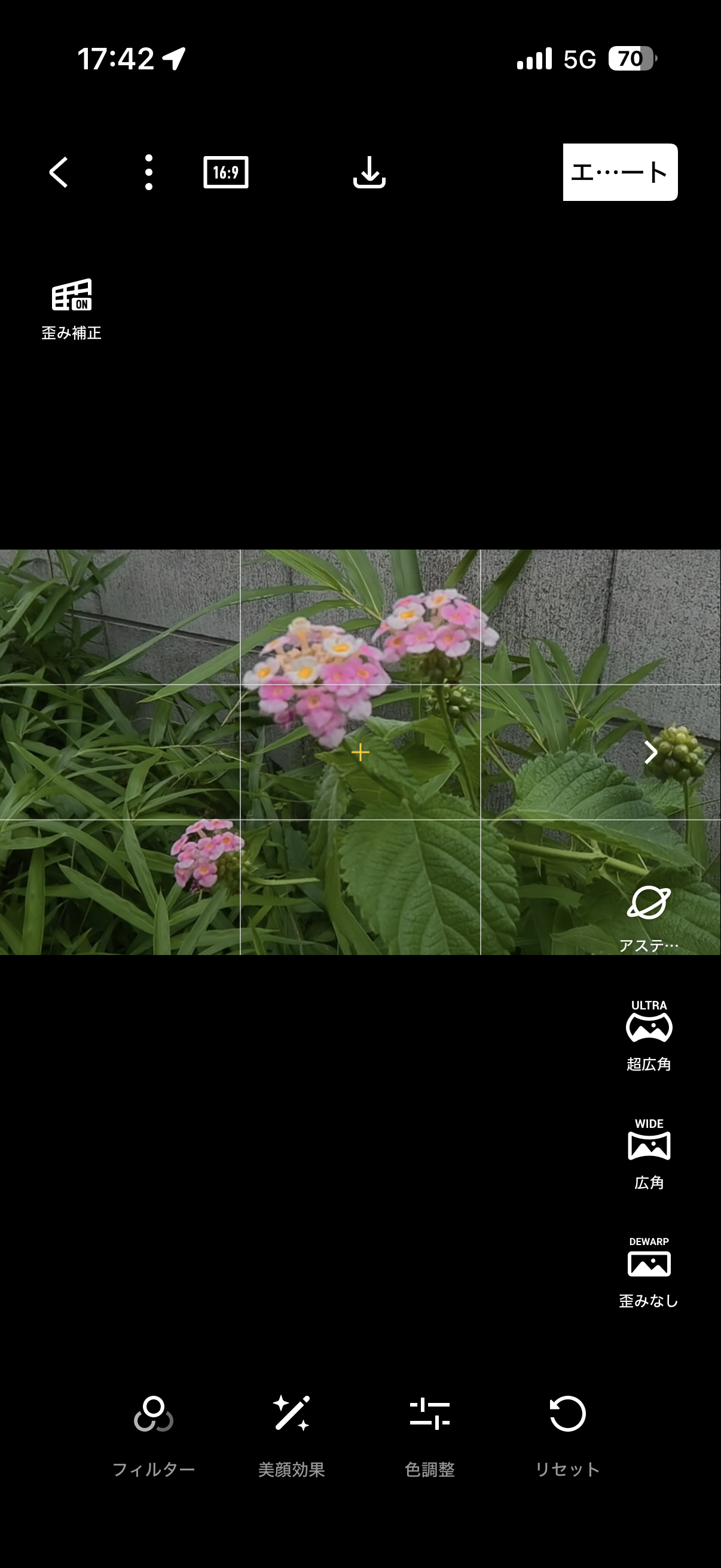 写真も撮影後にアングルを調整できる