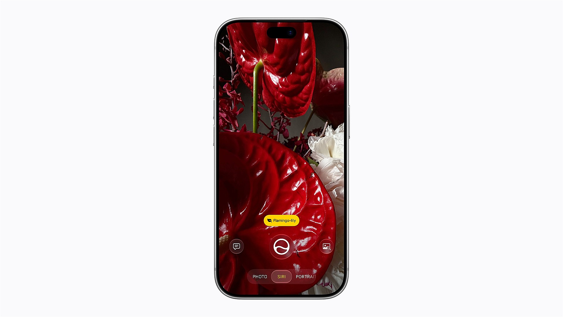 iPhoneのカメラアプリに「Siri mode」