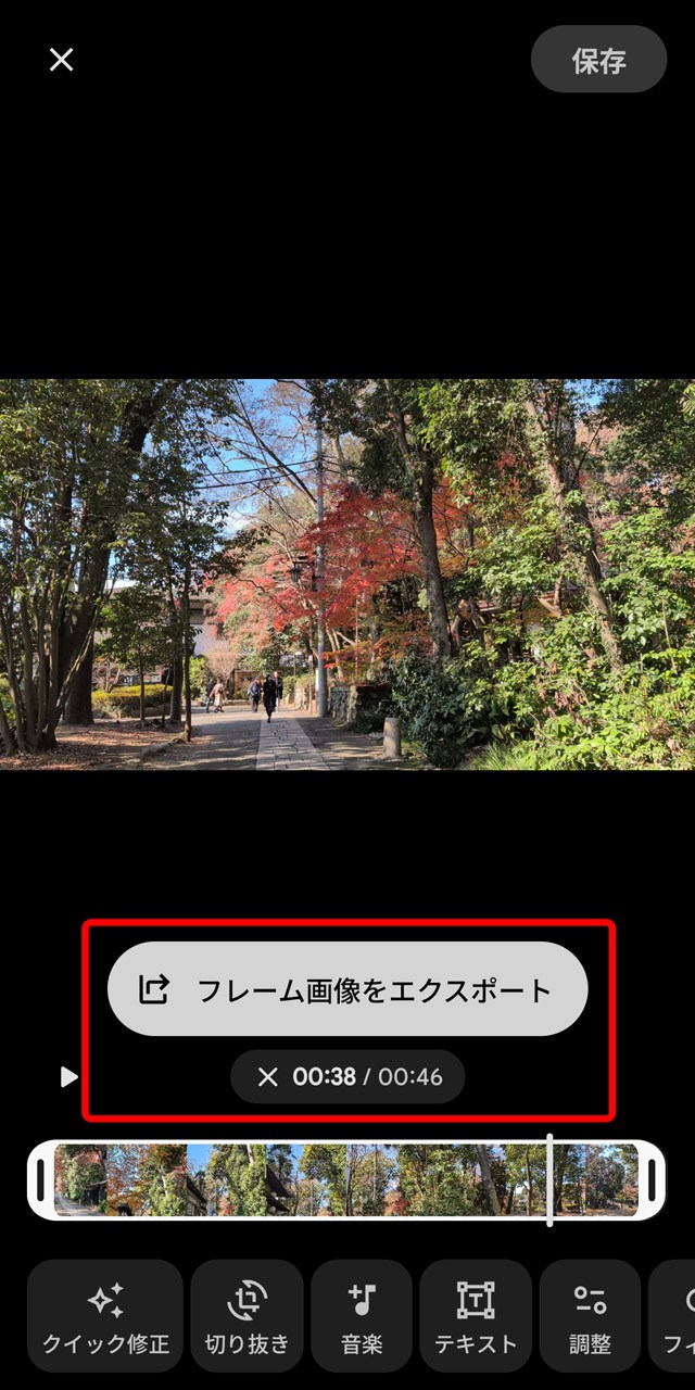 再生時間表示をタップすると現れる「フレーム画像をエクスポート」を選択