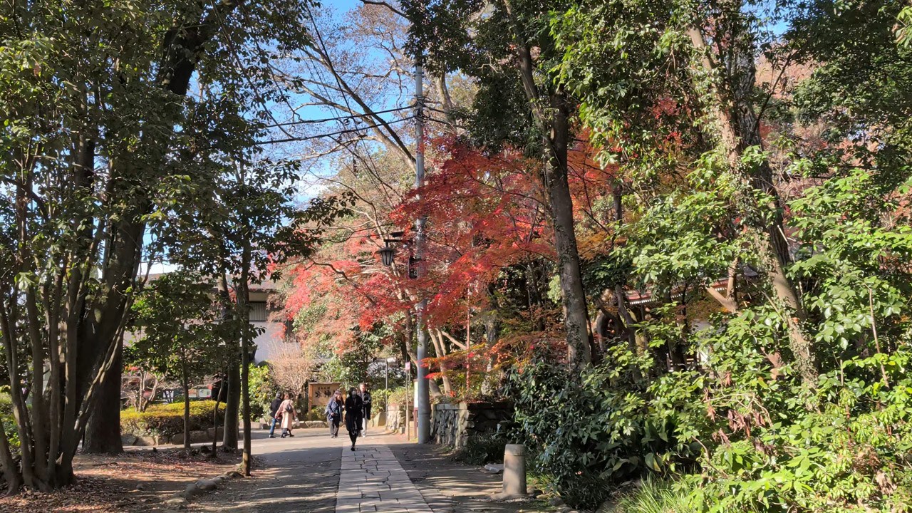 動画の解像度のまま写真として抜き出せる
