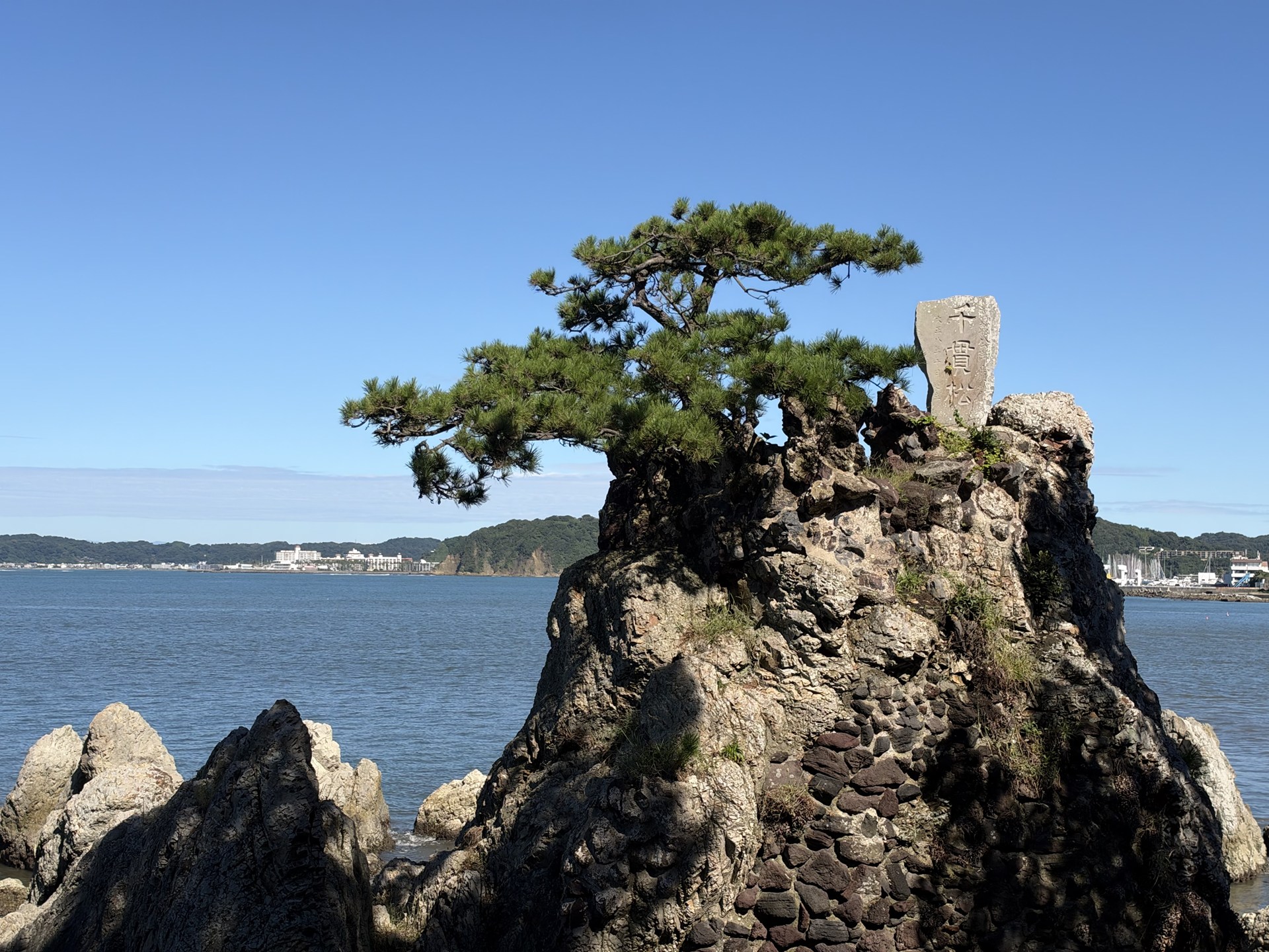 広角（2倍）で撮影
