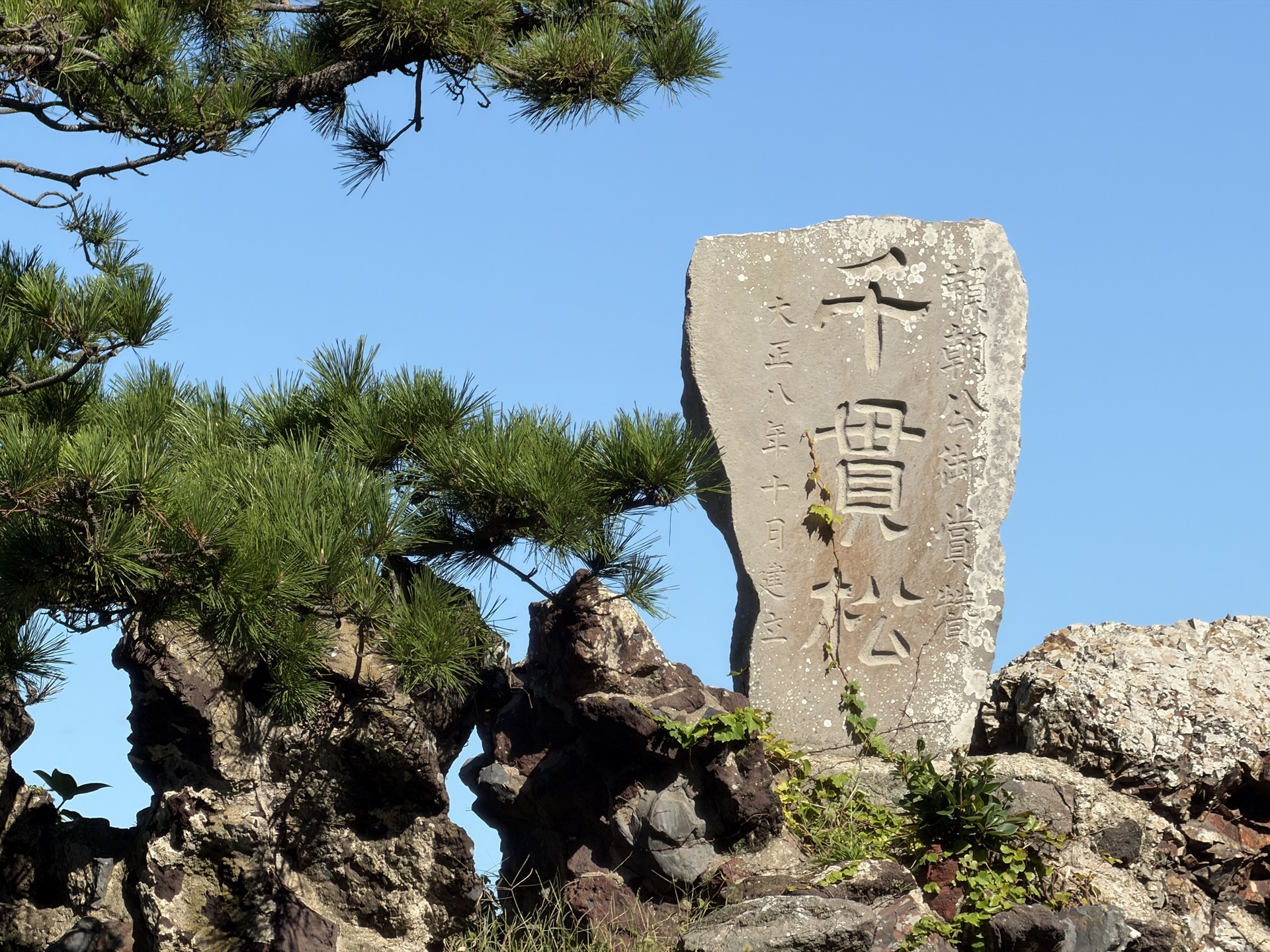 望遠（8倍）で撮影。レンズや倍率が変わっても、ほぼ同じ明るさ・色調で写る