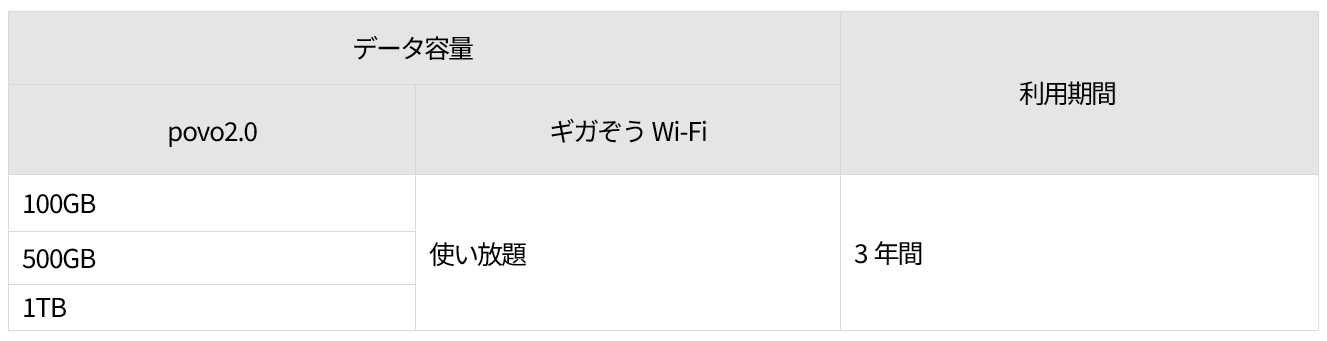 購入時のデータ容量