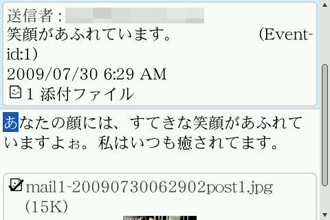 BlackBerry Boldはやや特殊な端末のため、ペットからのメールがちょっと見づらいかも!?