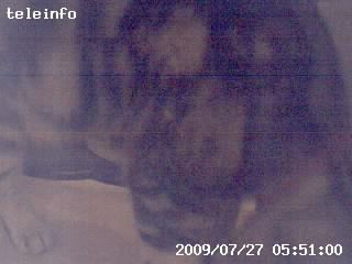 同じく暗い場所。だが、日が出て明るくなると多少は内容がわかる写真になる。しかし、てれeにゃんこ本体（カメラ）と猫が近すぎて、イマイチよくわからない写真に。