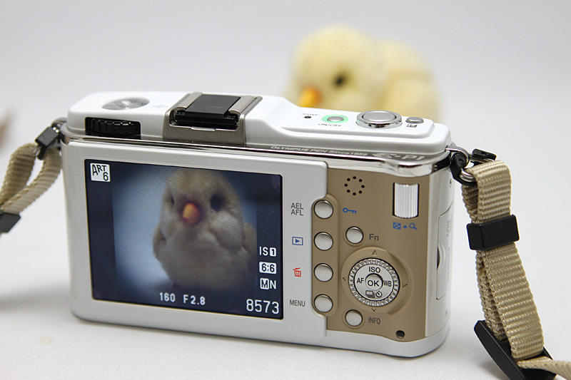 真四角でトイカメラ風の写真なんていうのも簡単に撮れる