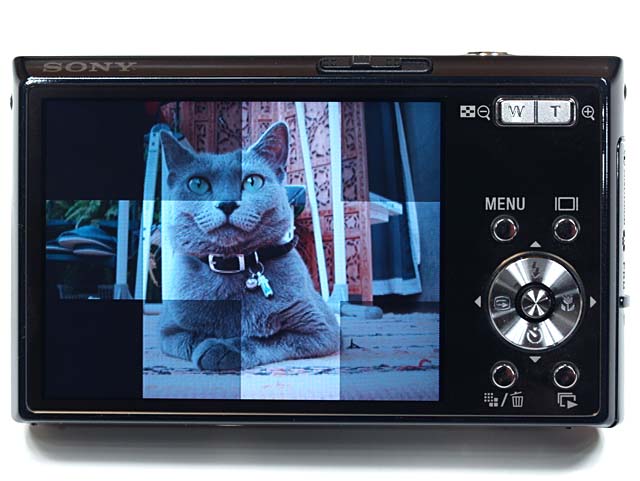 T30でスライドショー中の図。単なるねこ写真が、何だかステキかつ印象的な作品群のように見えてくるから不思議!!　ていうか非常に愉快です