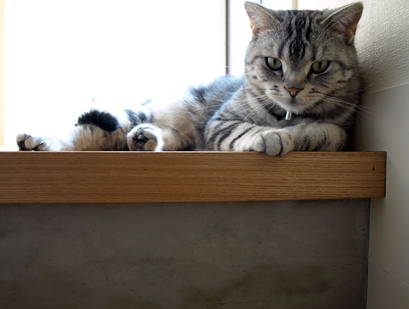 どんな格好をしていても気分は本気である。