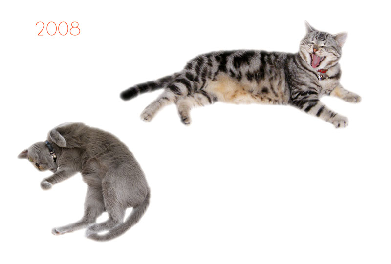 だらけた雰囲気を醸し出してみた。