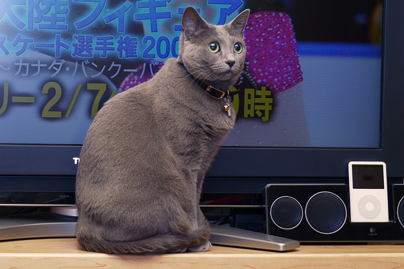 こんな位置にお座りになる。