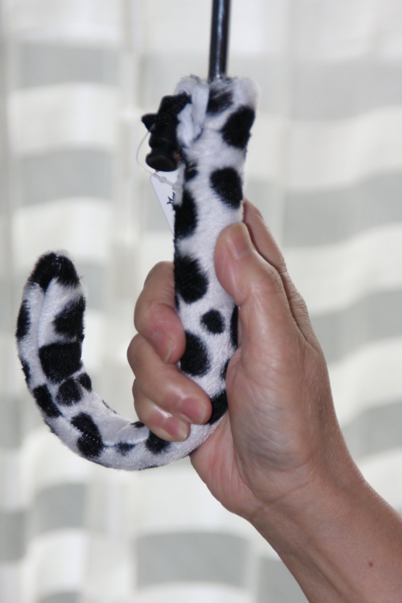 350円のビニール傘がまったく違って見える