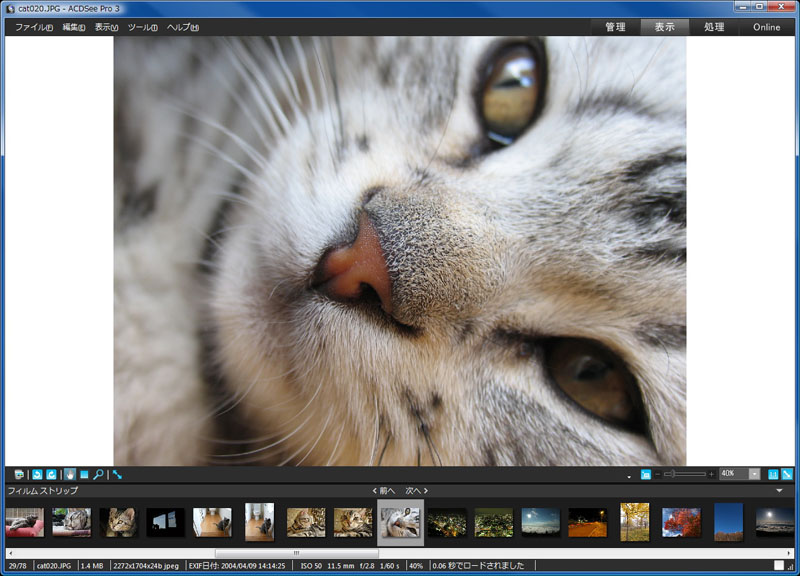 [表示]モードでの表示例。1枚の写真を鑑賞したり精査したりするのに向く