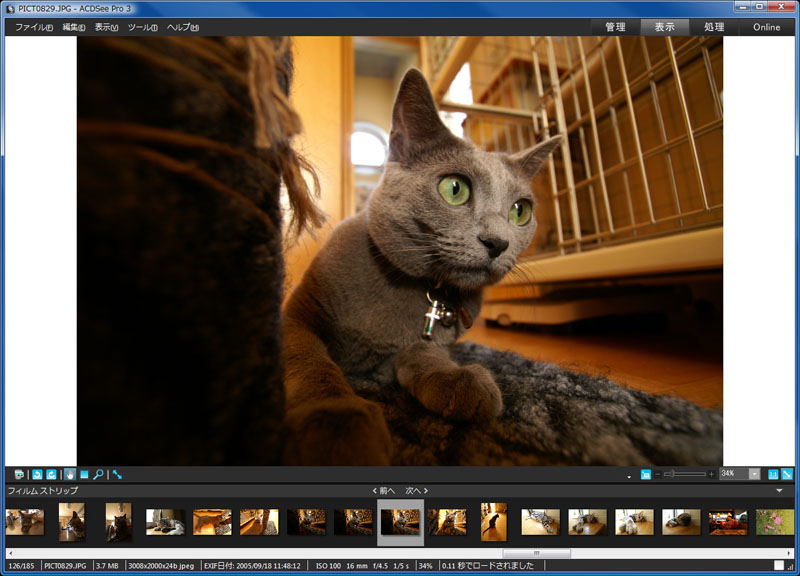 サムネイルをダブルクリックすると[表示]モードに移行。1枚の画像を大きくしたりして閲覧するモードですな。さらにダブルクリックすると[管理]モードに戻る