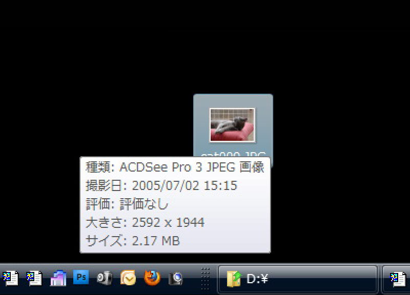 デスクトップ上などで画像をダブルクリックすると……