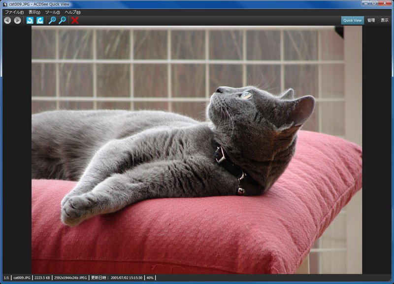 即座にACDSee Quick Viewが機能し、画像を表示できる。画像の拡大/縮小や回転なども可能。同じフォルダ内にある画像なら順送り/戻ししつつ閲覧できる