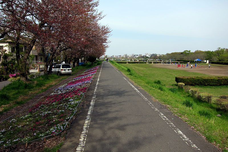 走ったサイクリングロード。入間川〜荒川手前までのわりと短め（←サイクリストにとっては）のコースだ