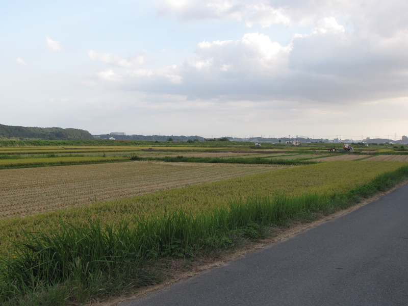 周辺は田畑で目標物が少ないため、来場時は地図確認が必須。営業時間にも注意を