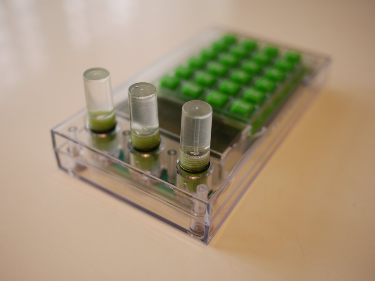 蒸気機関車も水力電卓も水のパワーで動作するのは感動的だ。