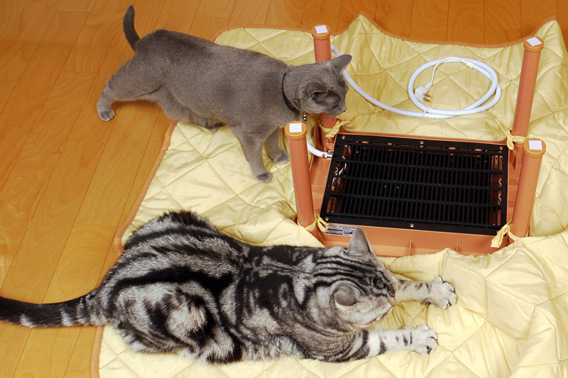 ニャバコかしら？　ニャバコらしい。吸うのかしら？　本らしい。じゃあ買いましょう!!　そうしよう!!　ニャ。ニャ。みたいな