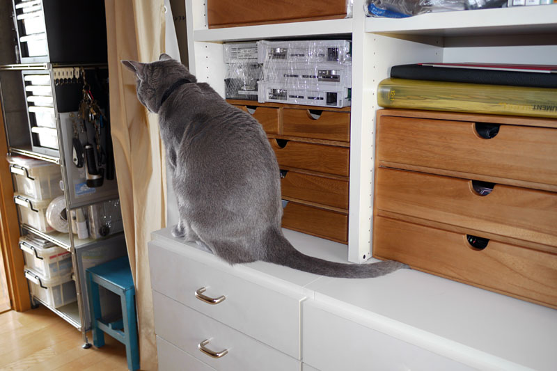 (3)ときどき佇んでみたりもする