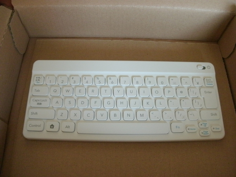 その中には、ゲームソフトカートリッジ、DS用スタンド、それにワイヤレスキーボードが含まれているわけだ