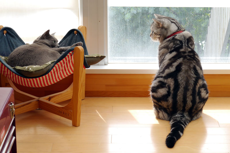 (1)あ。うか。おまえはおまえは