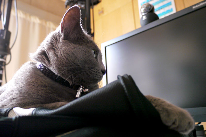 (5)おまえは。どきませんよ