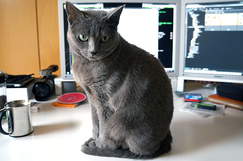 (1)おまえはおまえは。画面よりうかちゃんを見るように。