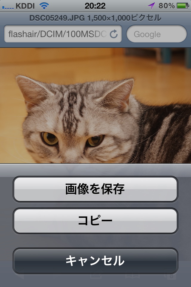 サムネイル表示から1枚表示にし、画像をFlashAirカードからiPhone 4Sのカメラロールに保存したりコピーしたりできる。共有ボタンからの機能も使えるが、一時的に接続しているサーバーなので機能的な意味はあまりナイですな