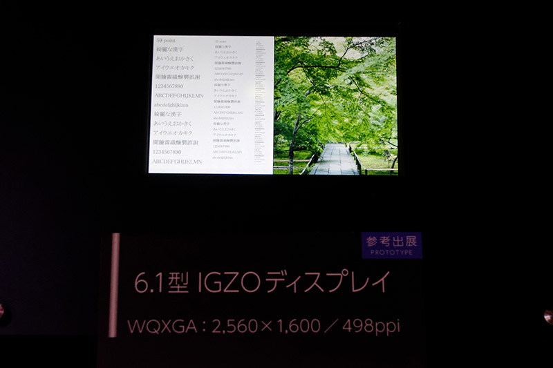 2560×1600ドットの6.1インチディスプレイ