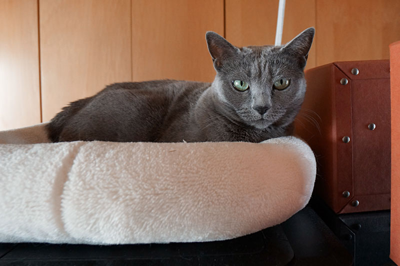 (2)おまえはおまえは。撮っちゃダメ。