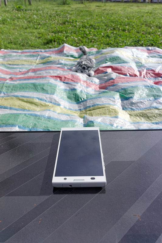 最大ボリュームに。課長、笑ってください！