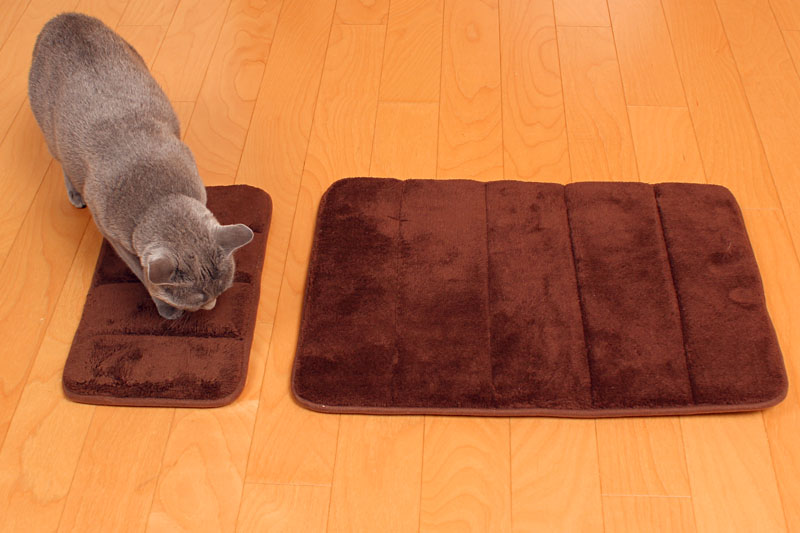 (1)ややや。これは猫用マット。どうしましょうどうしましょう。
