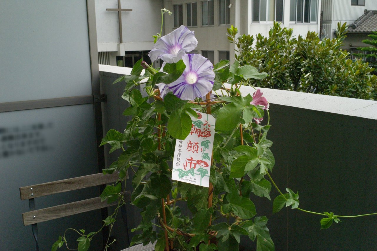 ほぼ同じ位置、アングルでコントラストも近い雰囲気で光学レンズでも撮影してみた