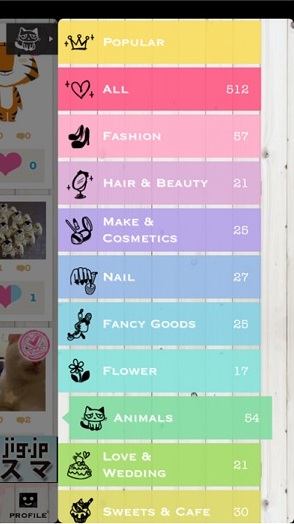 ユーザーが投稿した画像をジャンル別に見ることができる