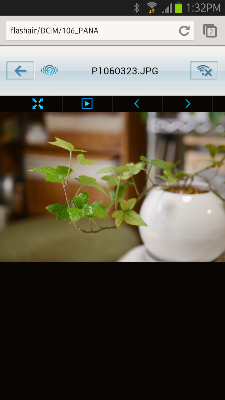 1枚選択して表示した状態。右上は「無線LAN停止」ボタン