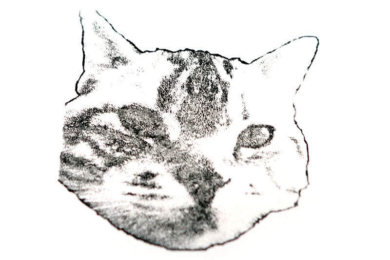 プリントされた印面をスタンプグリップに貼り、インクを染み込ませて、何度か試し押し。最終的に得られたスタンプ印影が右の写真となる