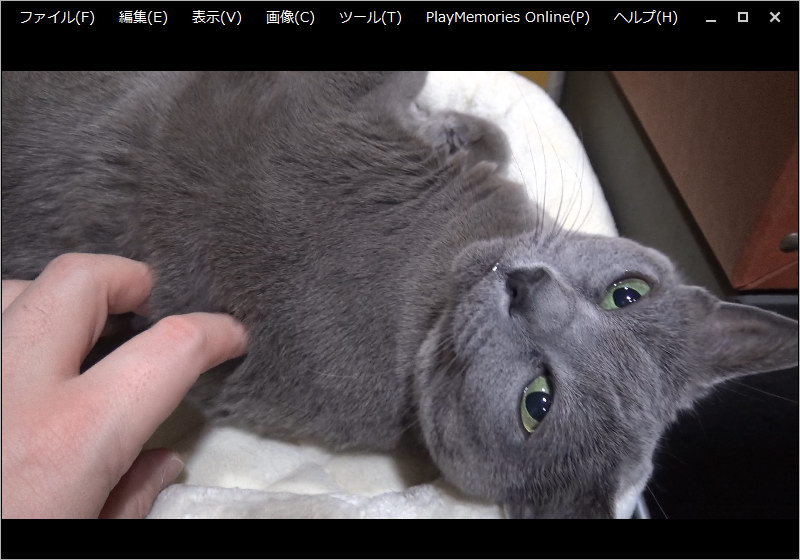 「PlayMemories Home」ソフトウェア表示例。各種静止画や動画をサムネイル表示でき（左）、再生できる（右）。お手軽っす