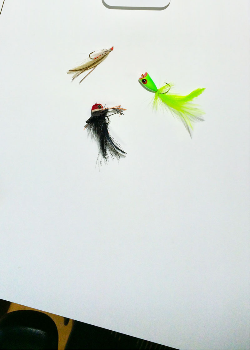 こちらはルアー（疑似餌）。右はドットバイドット。画像メモとしては十分なクオリティだと感じられる