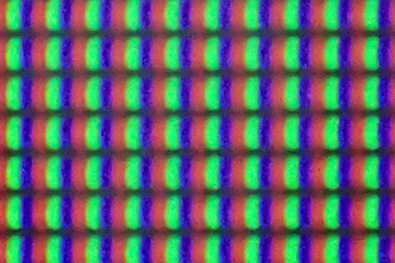 100mm相当にズームアップしたもの。