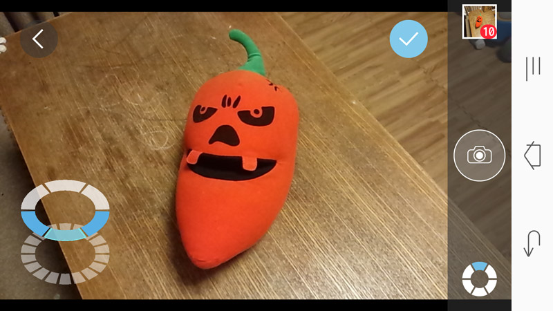 少しずつ周囲を回りながら撮影していく