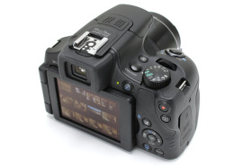 ズーム性能世界最高クラスの「PowerShot SX60 HS」で遊ぶ
