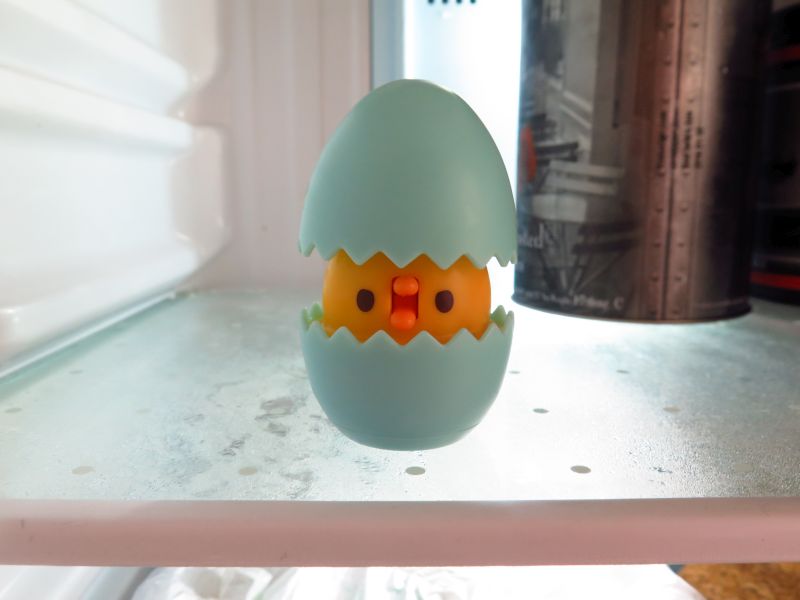 「朝食なし？ チョーショック……」と三男。1匹ずつだときちんと聞き取れる。おしゃべりのレパートリーも豊富だ