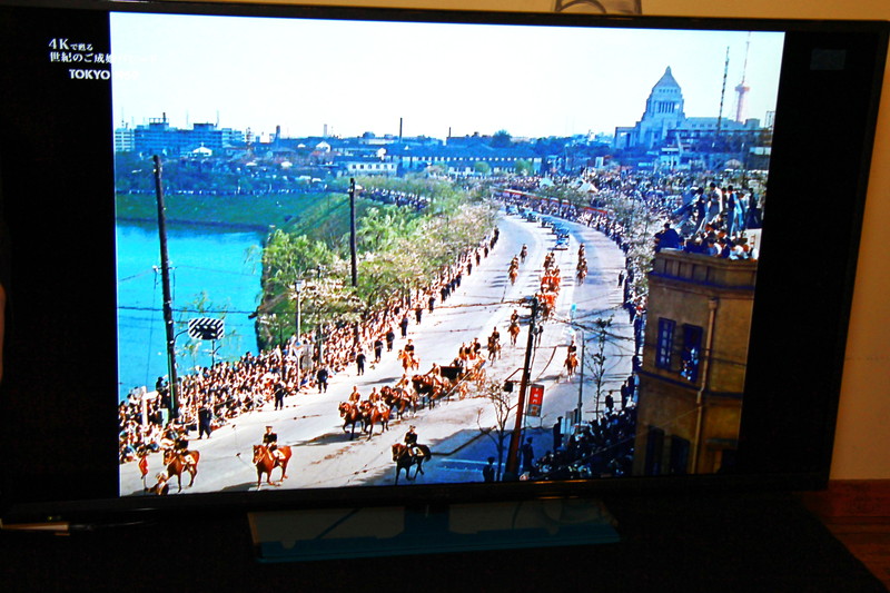 「Q-display 4K50」は、50インチの4Kディスプレイ。テレビチューナー非搭載で7万5000円